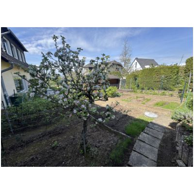 Nutzgarten 